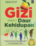 Gizi dalam Daur Kehidupan