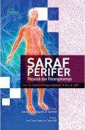 Saraf Perifer : Masalah dan Penanganannya